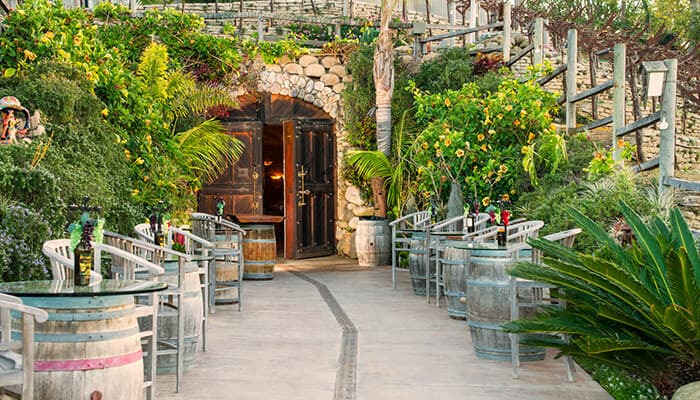 NBVW_Main_Patio-1.jpg